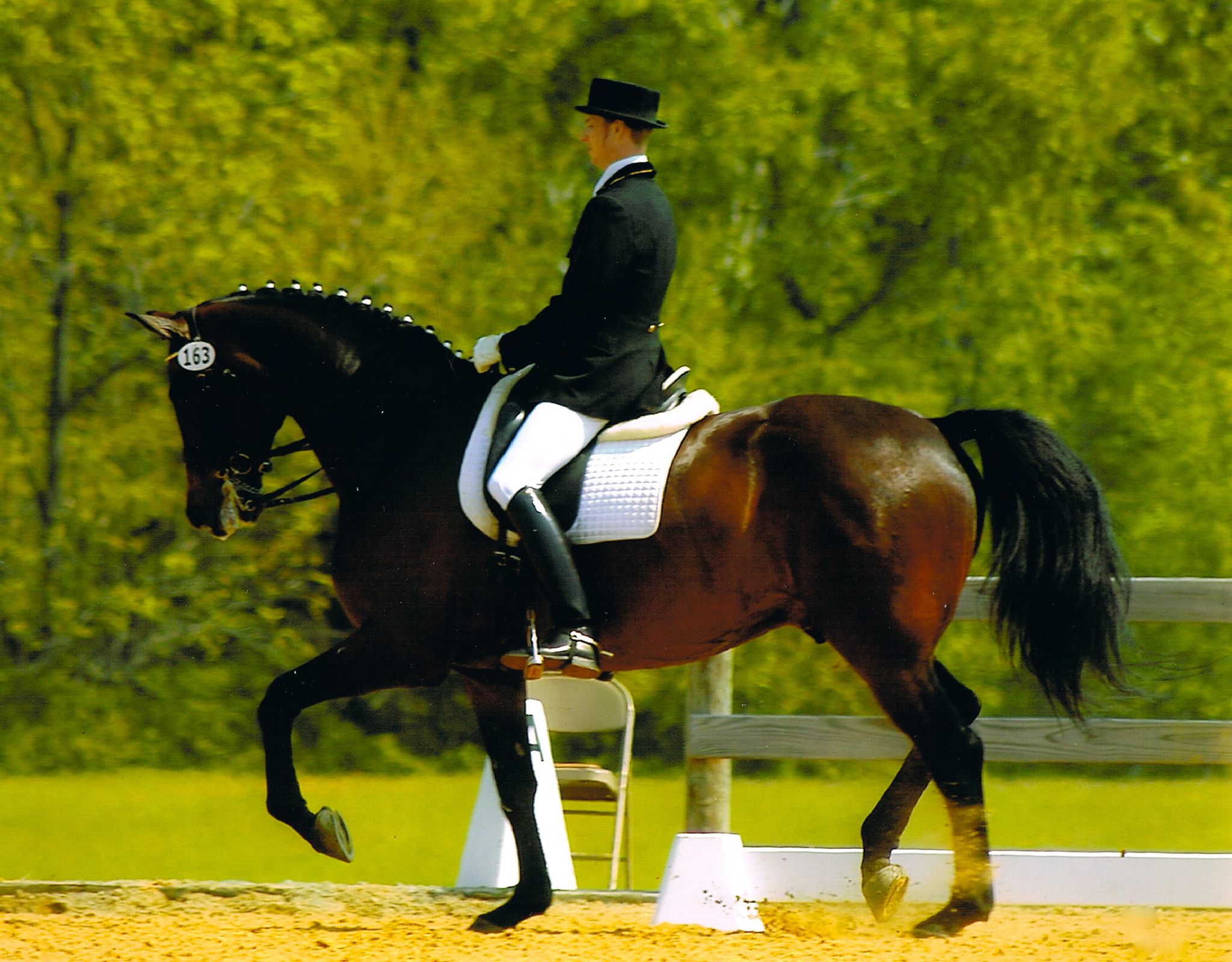 Neil Mcintosh Dressage